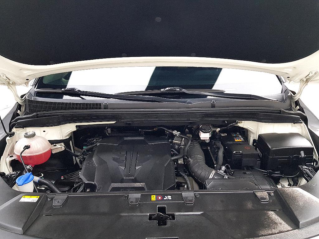 KIA Carnival - Vista 6