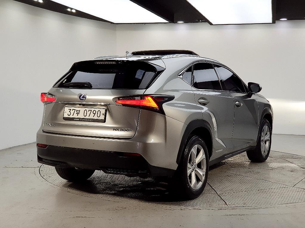 Lexus NX - Vista 4