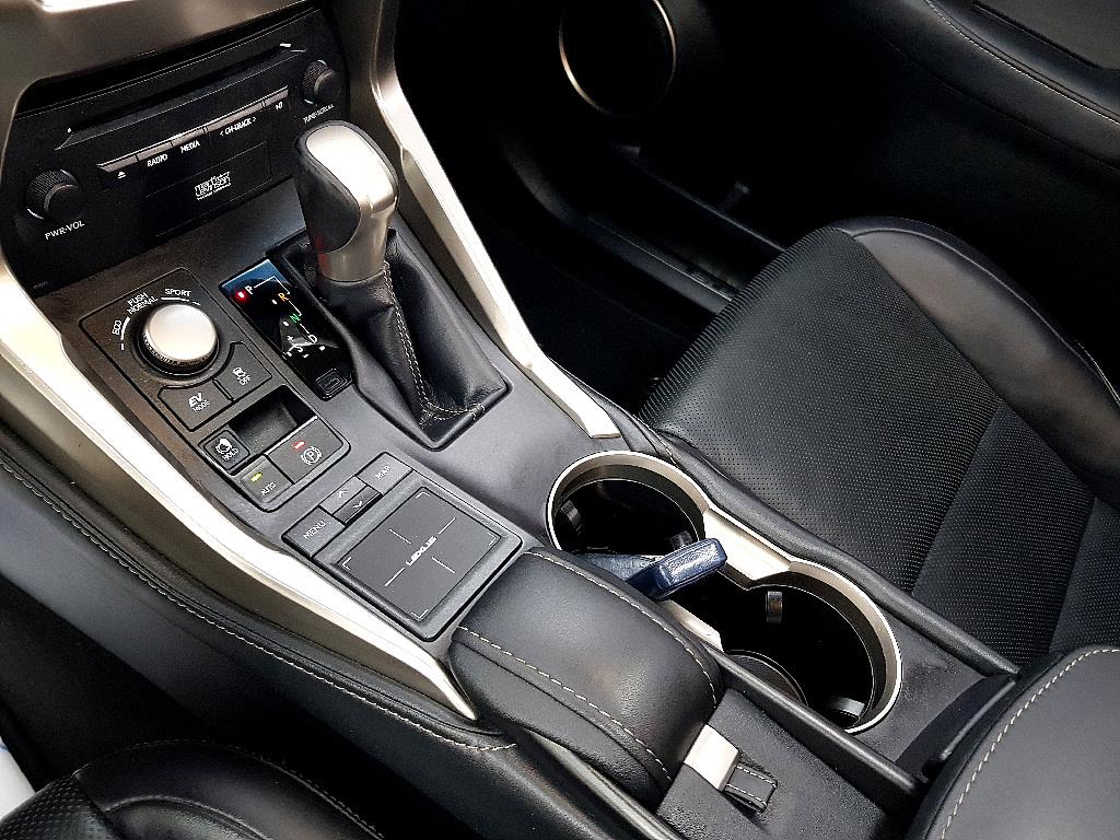 Lexus NX - Vista 12