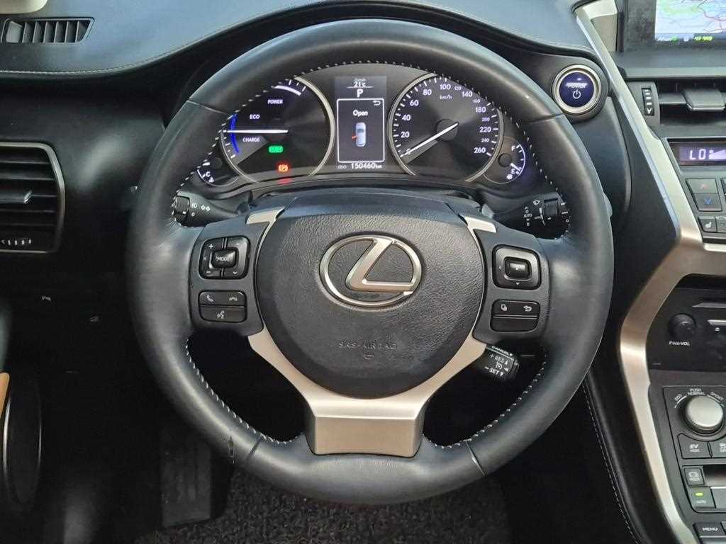 Lexus NX - Vista 9