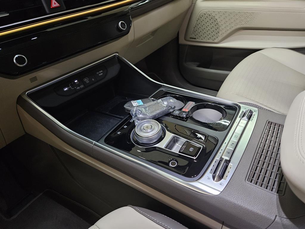 KIA Carnival - Vista 12
