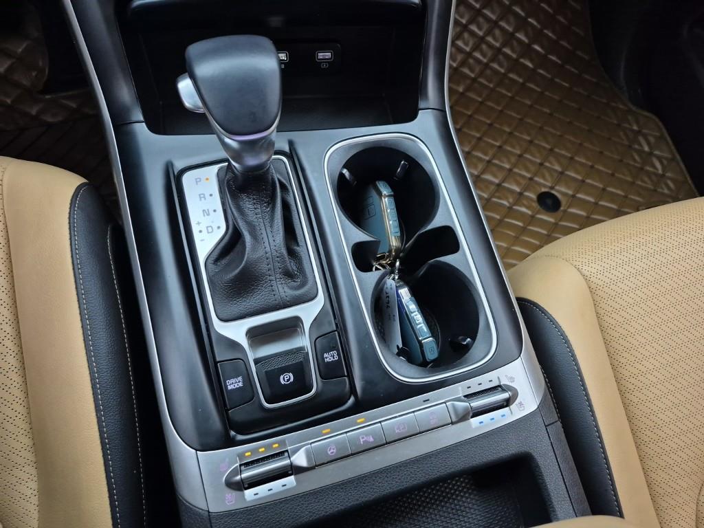 KIA Carnival - Vista 8