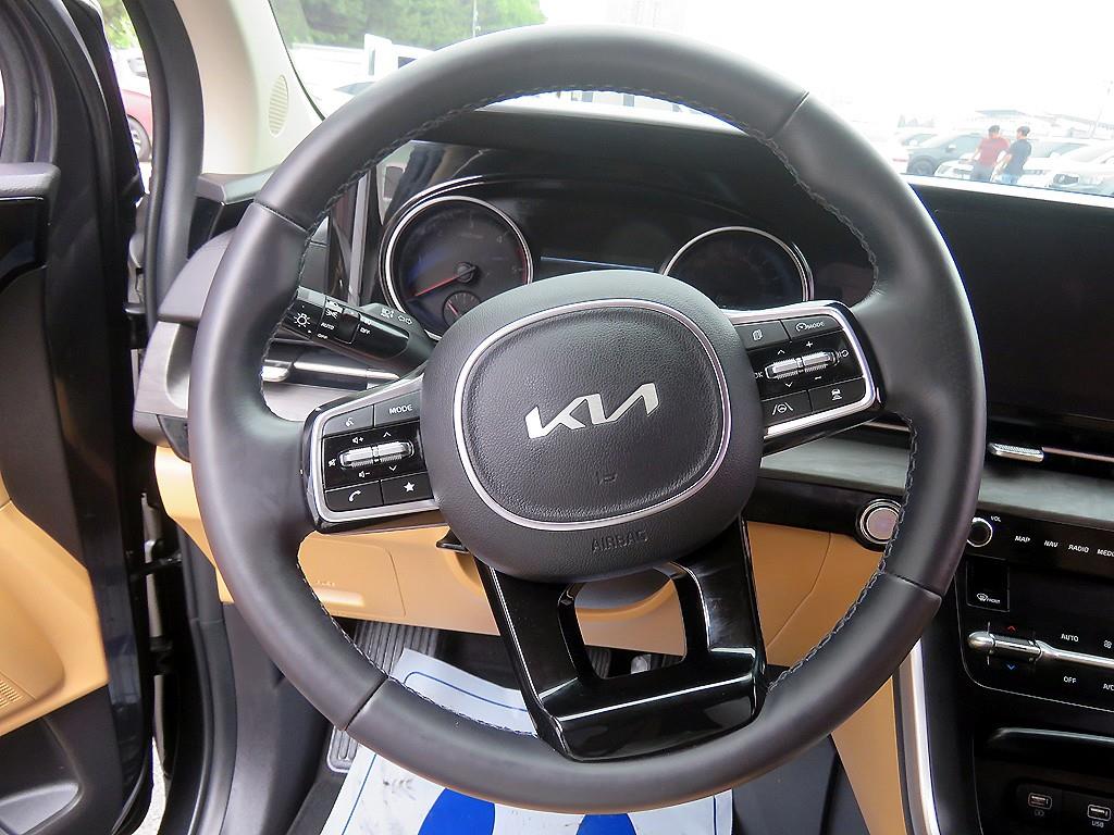 KIA Carnival - Vista 12
