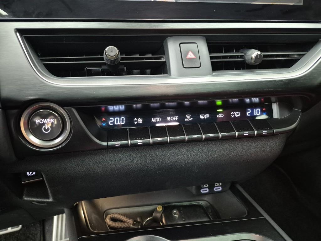 Lexus UX - Vista 10