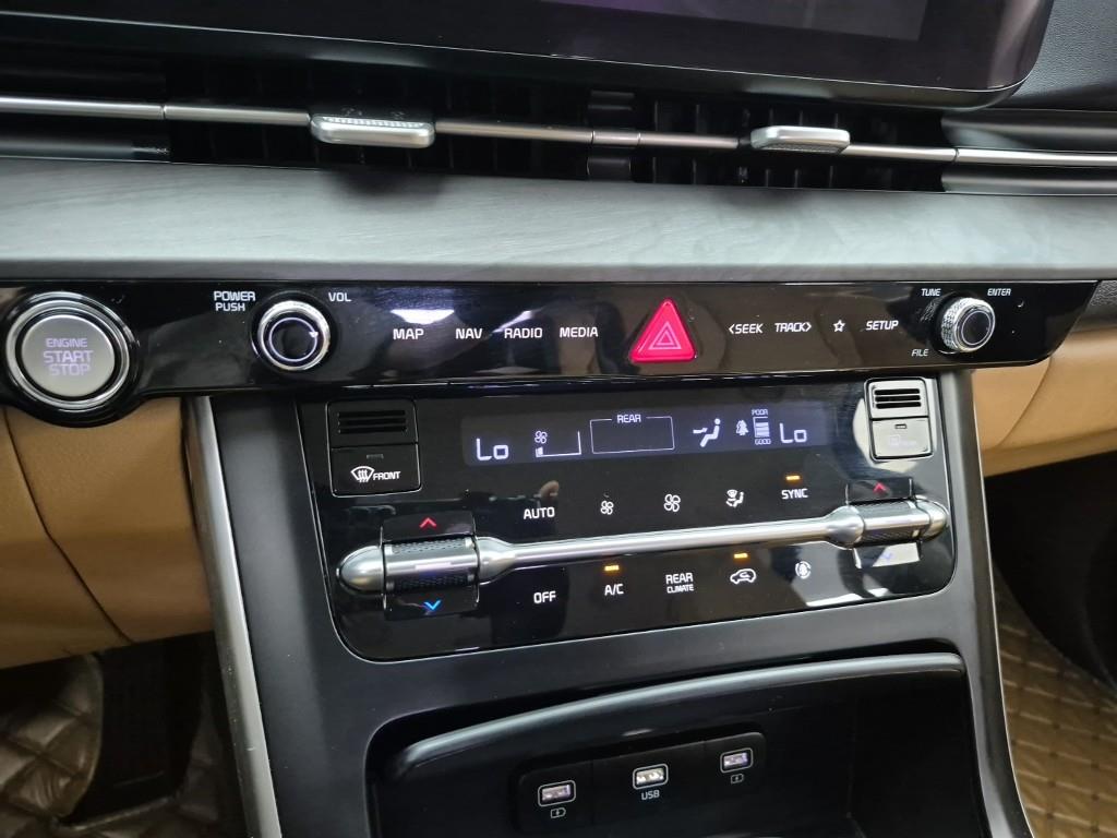 KIA Carnival - Vista 10