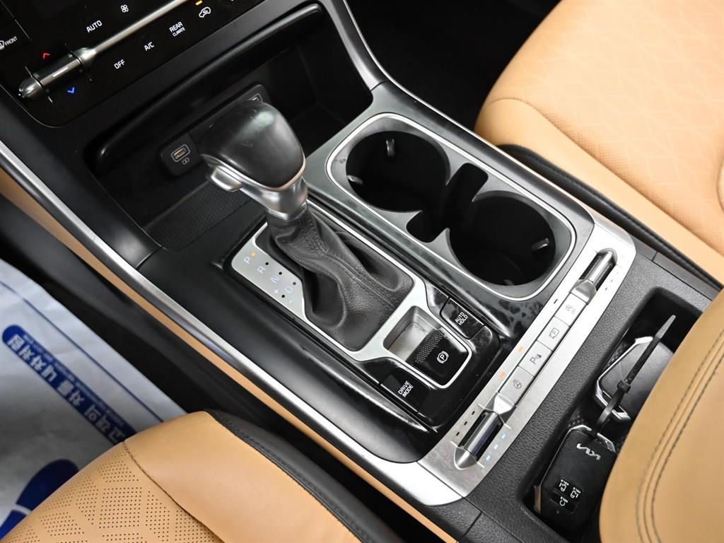KIA Carnival - Vista 9