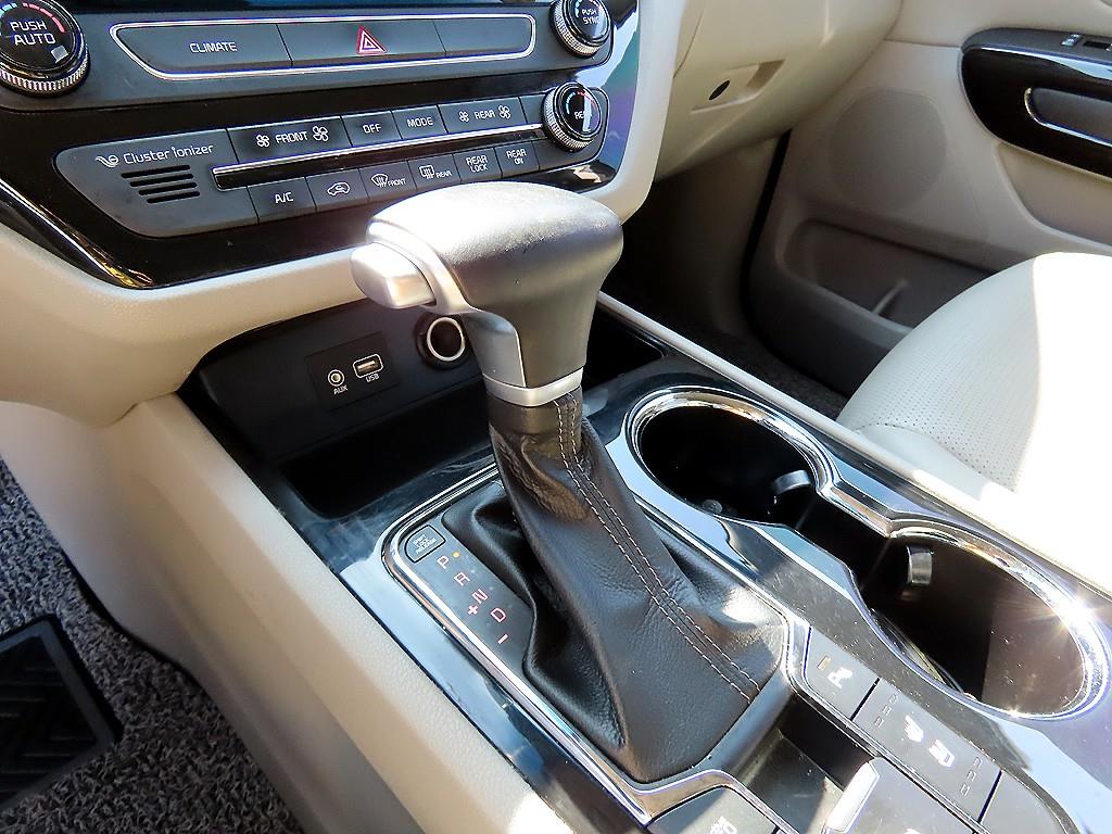 KIA Carnival - Vista 12