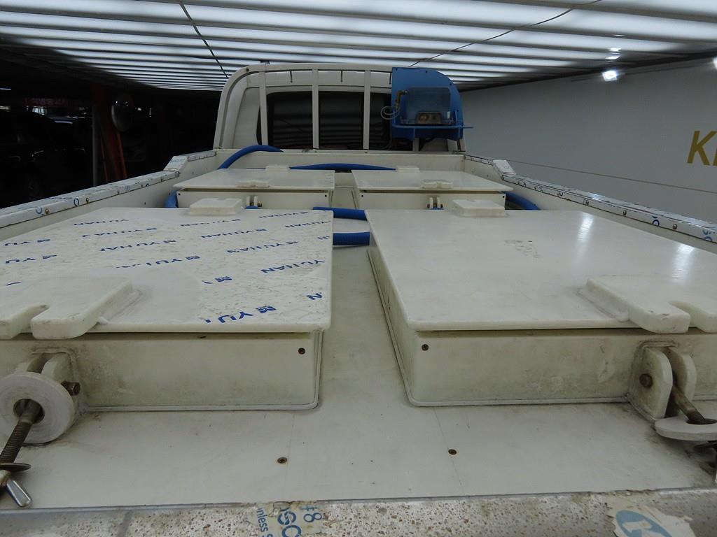 Small Truck (Completed) a live fish car 2019 Blanco - Importación desde Corea - HF Imports Iquique - Foto 14