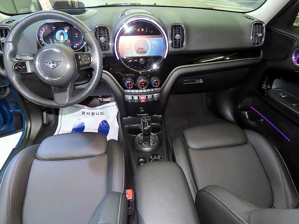 Mini Countryman - Vista 10