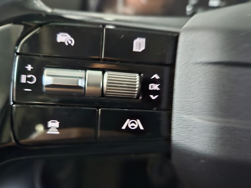 KIA Carnival - Vista 12
