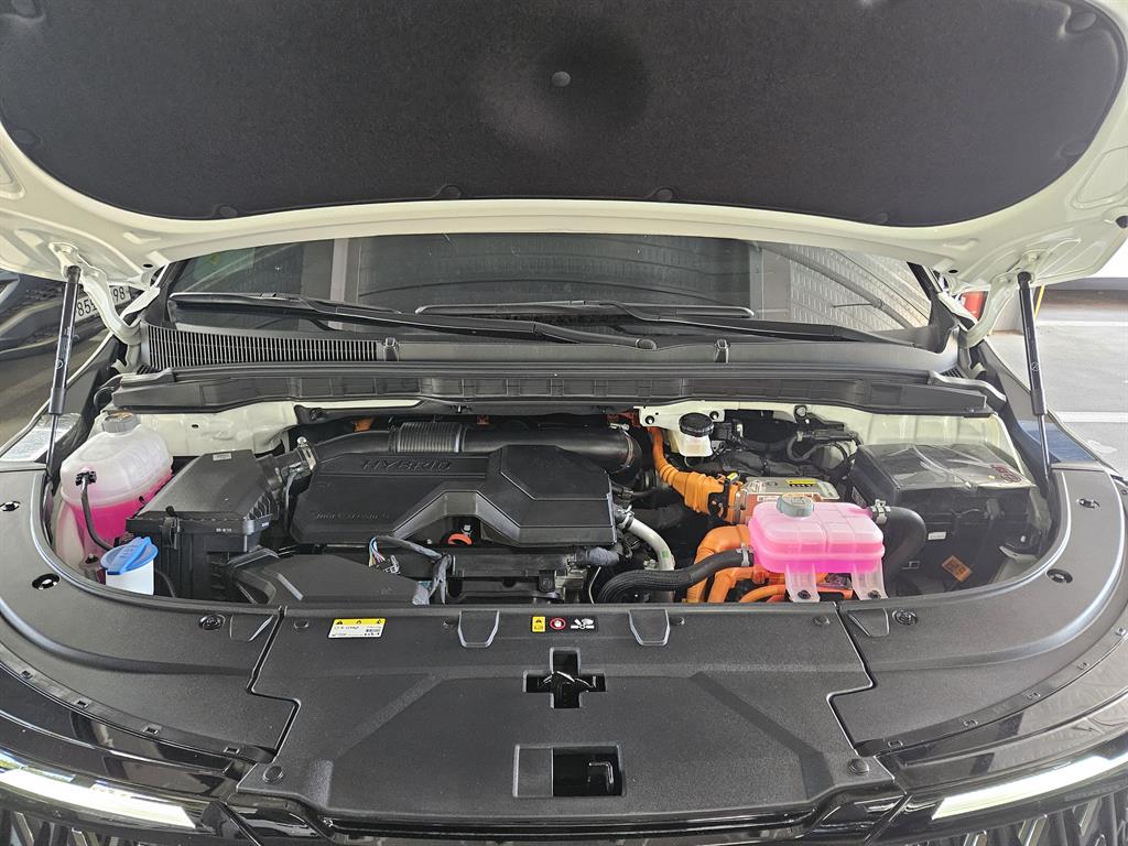 KIA Carnival - Vista 8