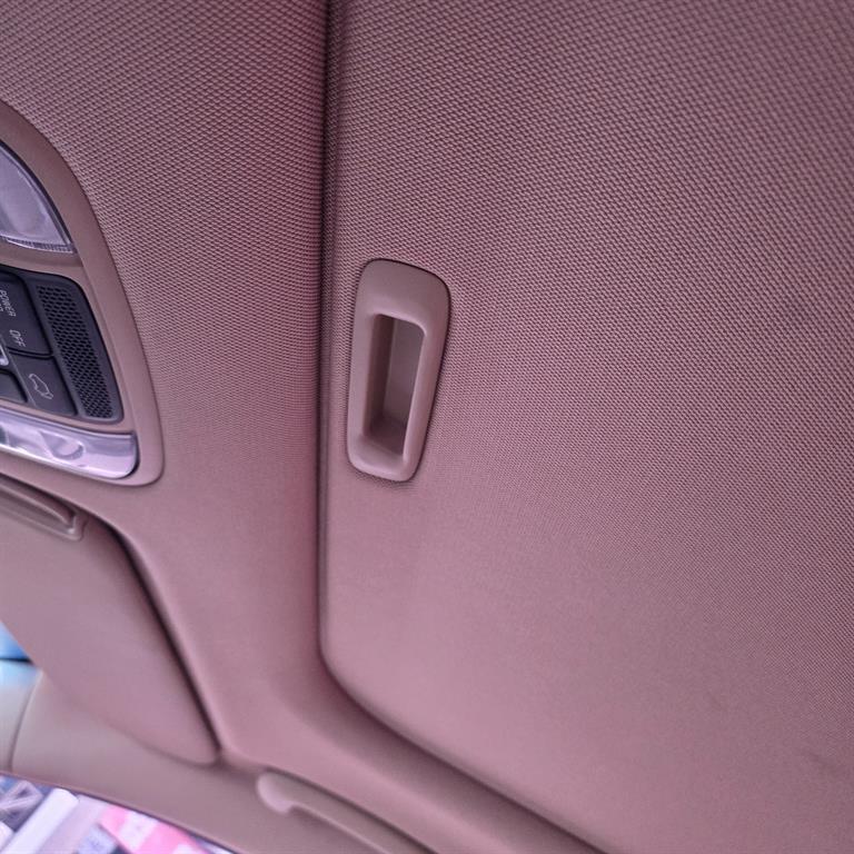 KIA Carnival - Vista 8