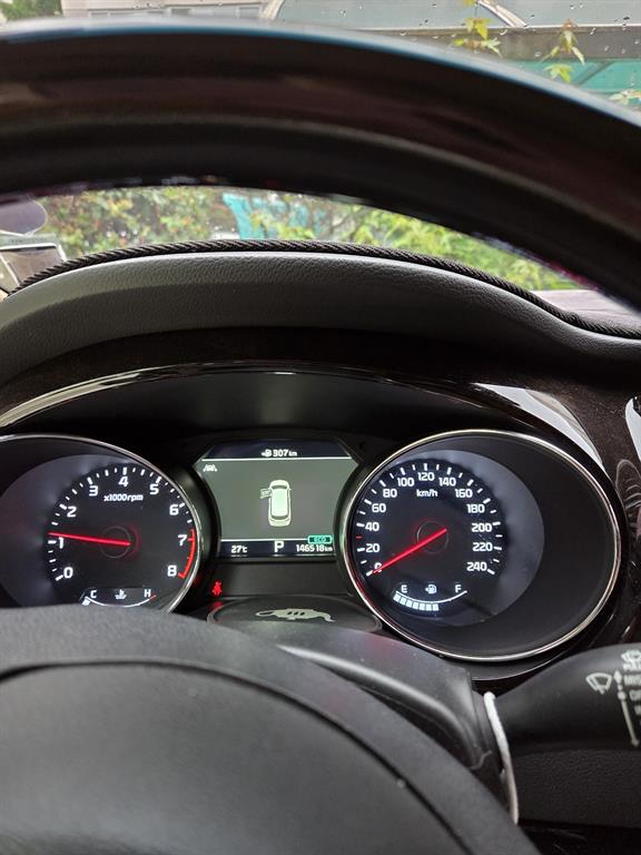 KIA Carnival - Vista 2