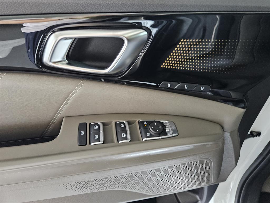 KIA Carnival - Vista 10