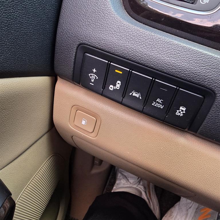 KIA Carnival - Vista 6