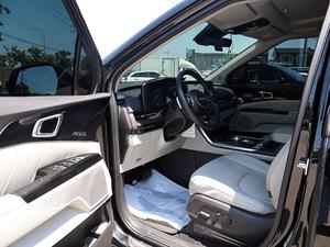 KIA Carnival - Vista 12