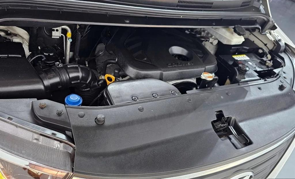 HYUNDAI Starex - Vista 6