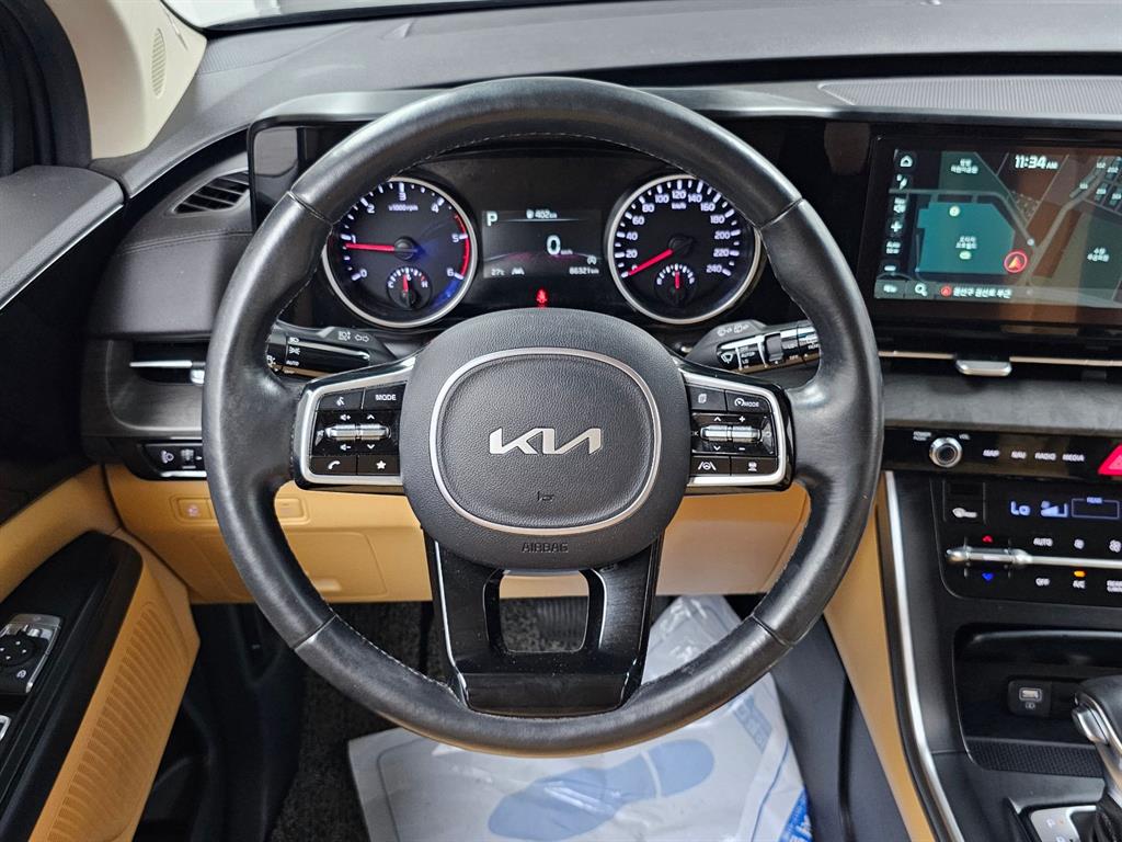 KIA Carnival - Vista 12