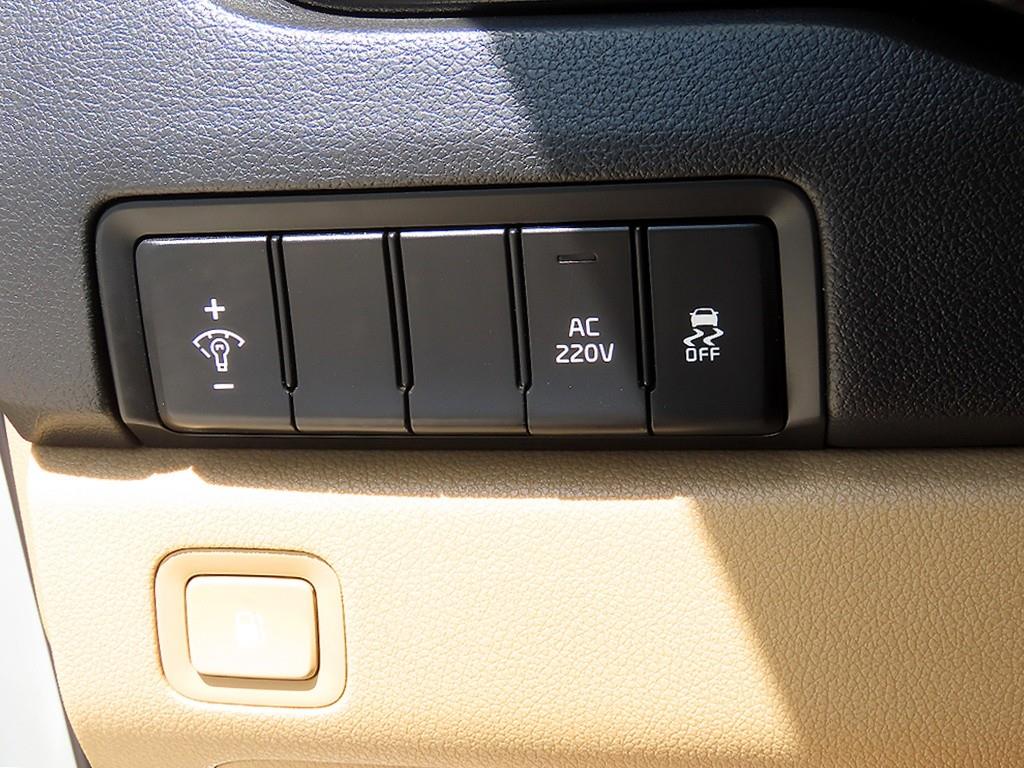 KIA Carnival - Vista 12