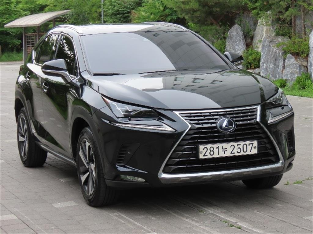 Lexus NX - Vista 3