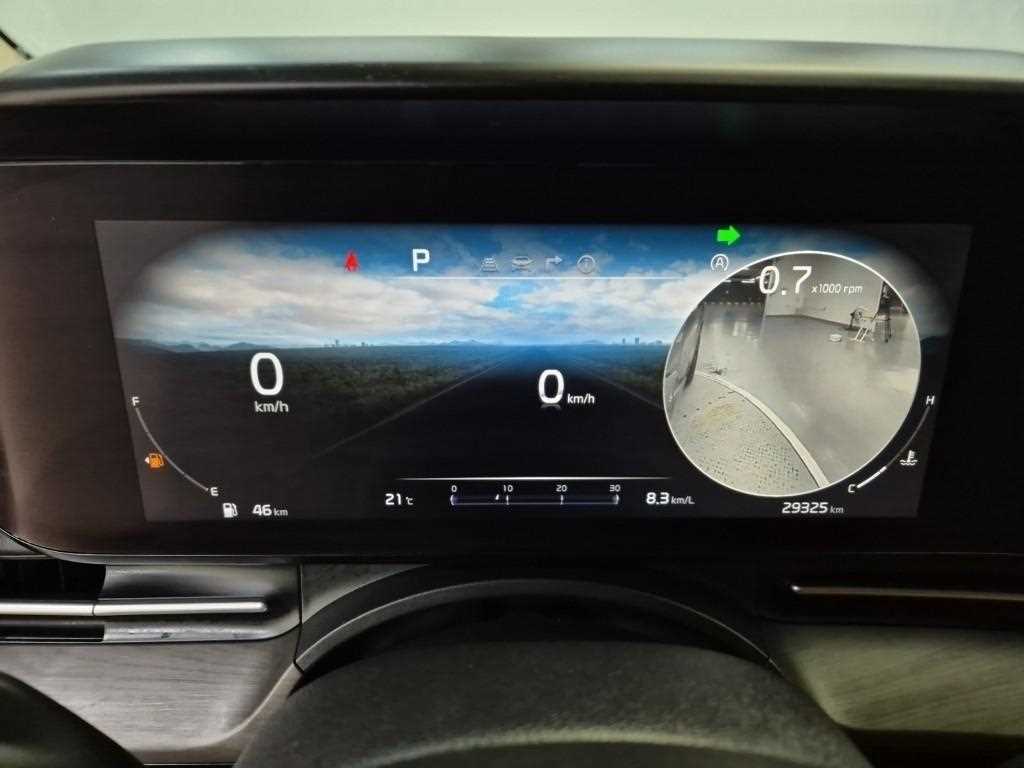 KIA Carnival - Vista 6