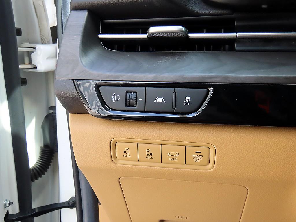KIA Carnival - Vista 12