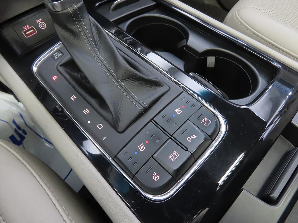 KIA Carnival - Vista 11