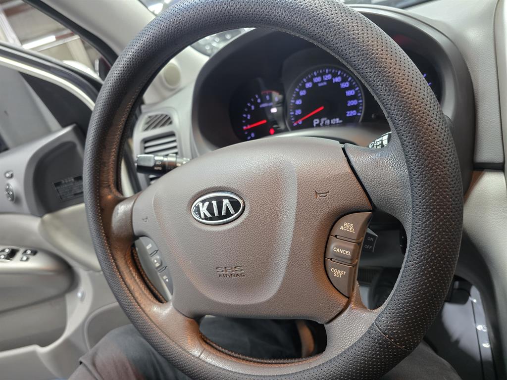KIA Carnival - Vista 12
