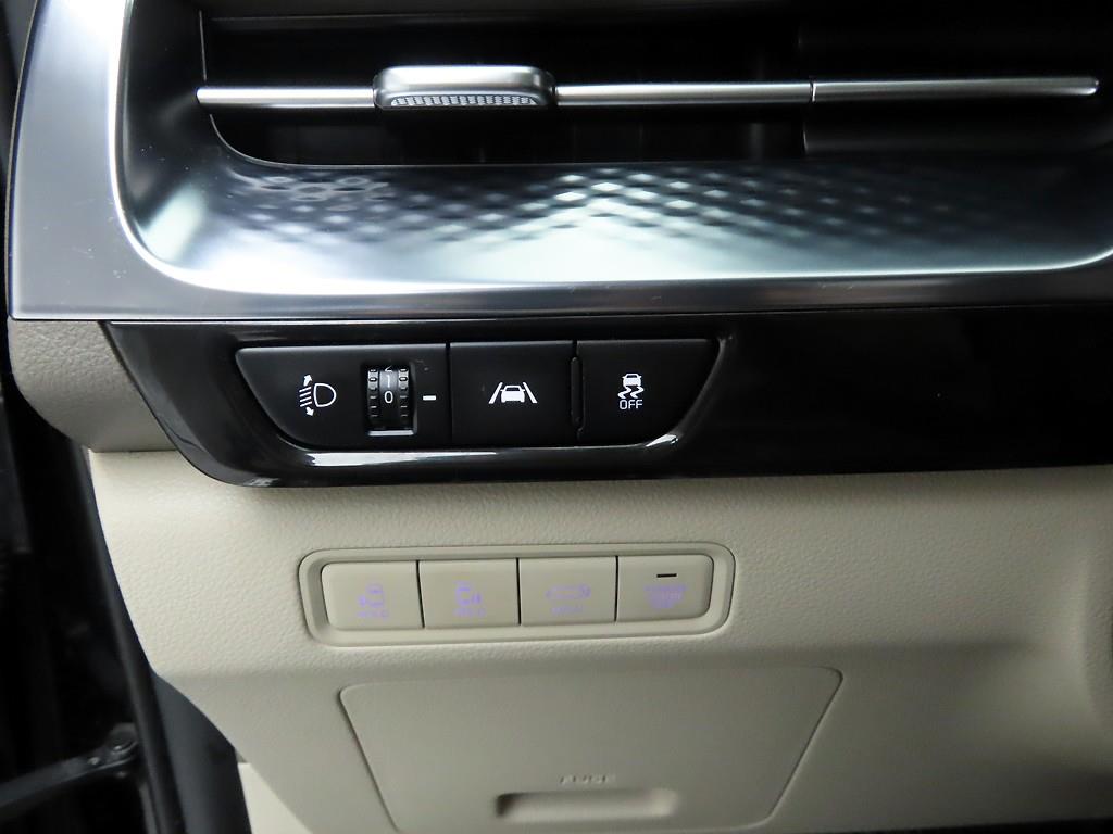 KIA Carnival - Vista 12
