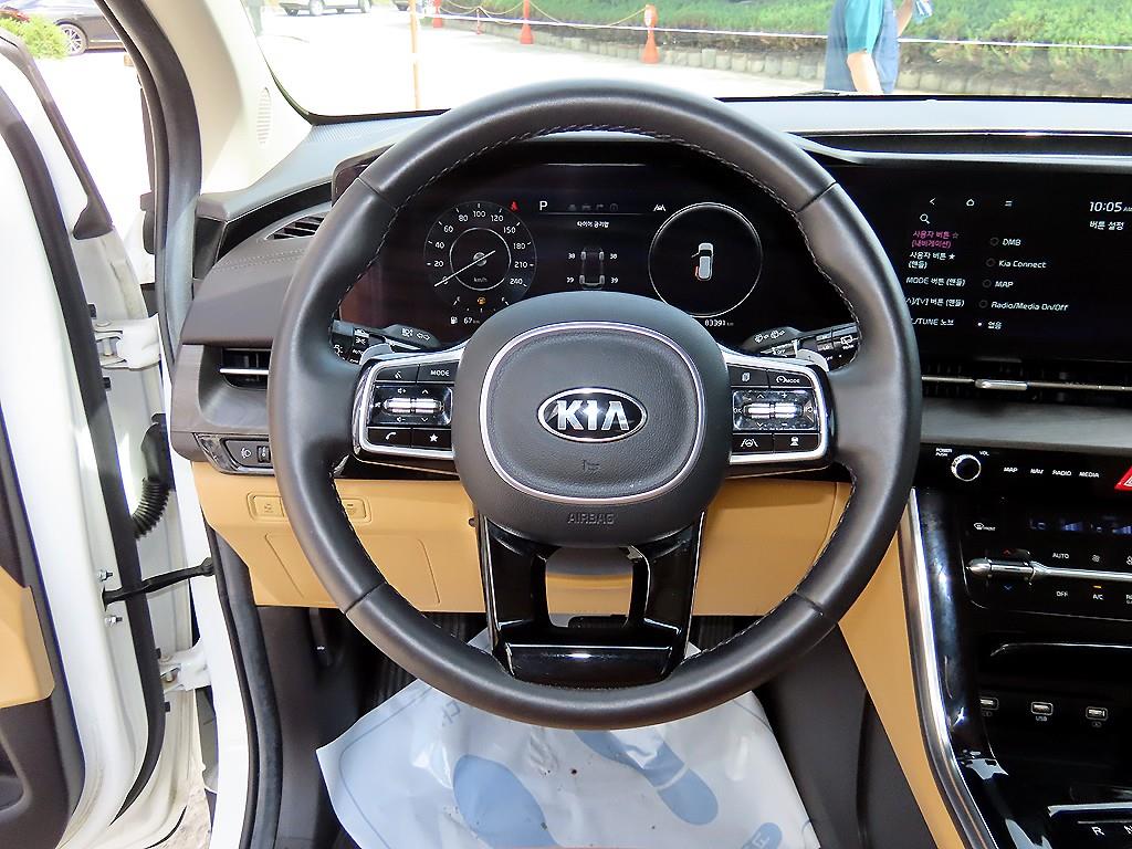 KIA Carnival - Vista 9