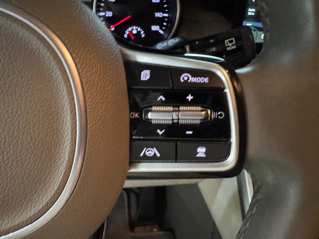 KIA Carnival - Vista 11