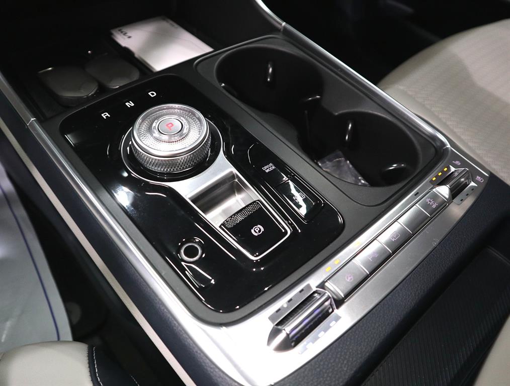 KIA Carnival - Vista 12