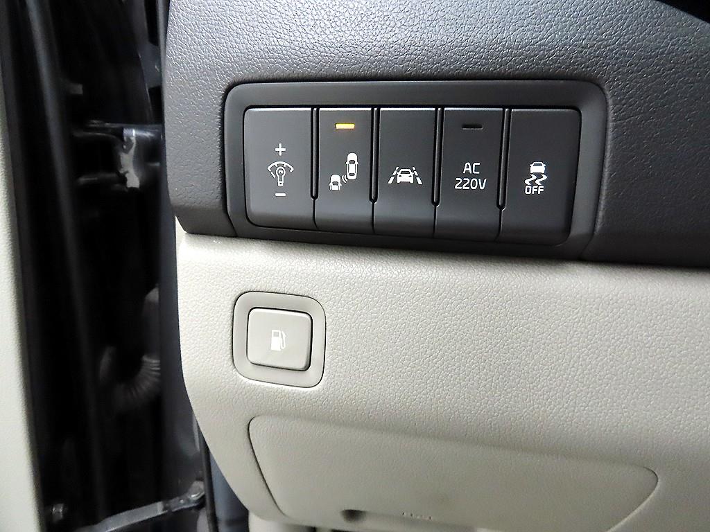 KIA Carnival - Vista 12