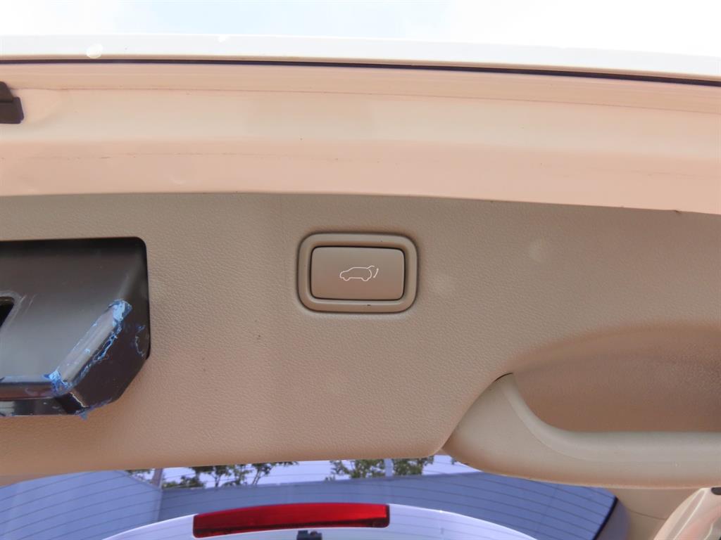 KIA Carnival - Vista 11