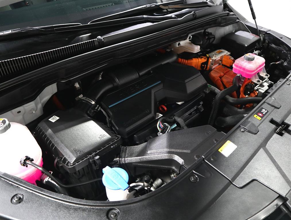 KIA Carnival - Vista 6