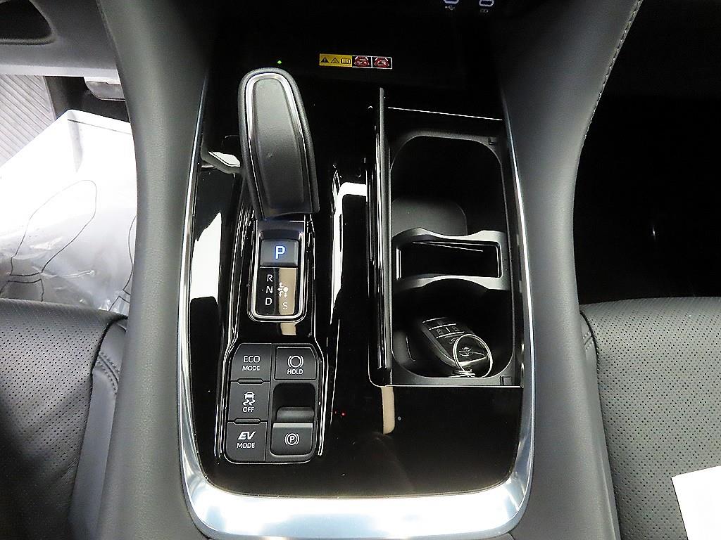 Toyota Alphard - Vista 10