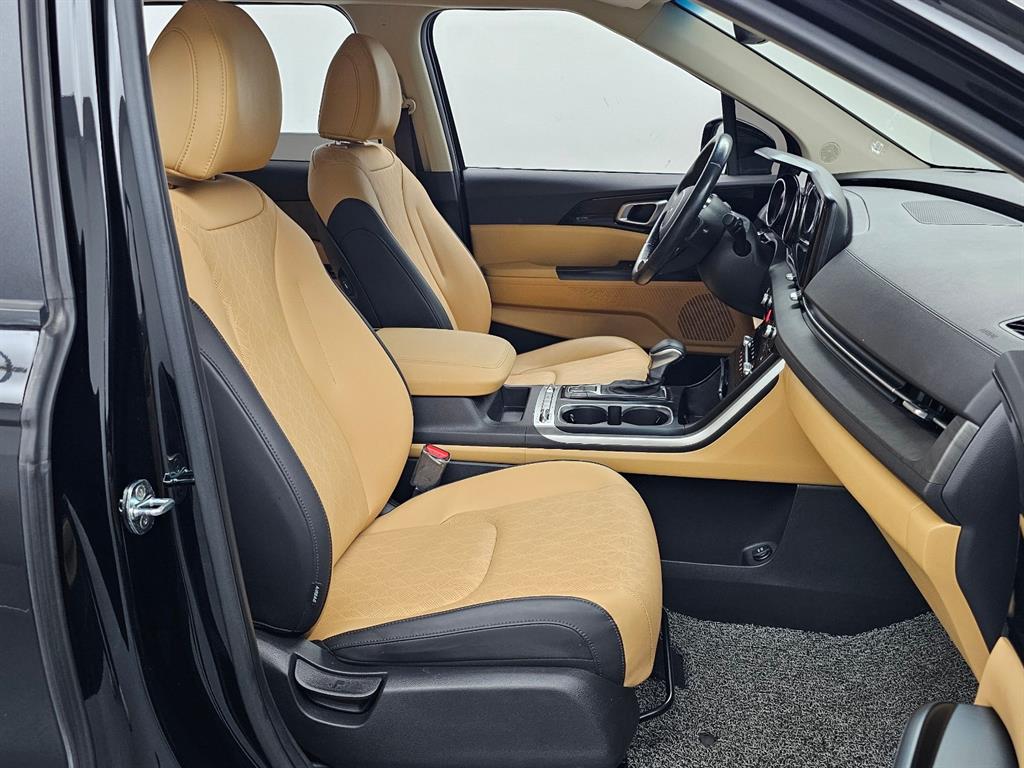 KIA Carnival - Vista 10