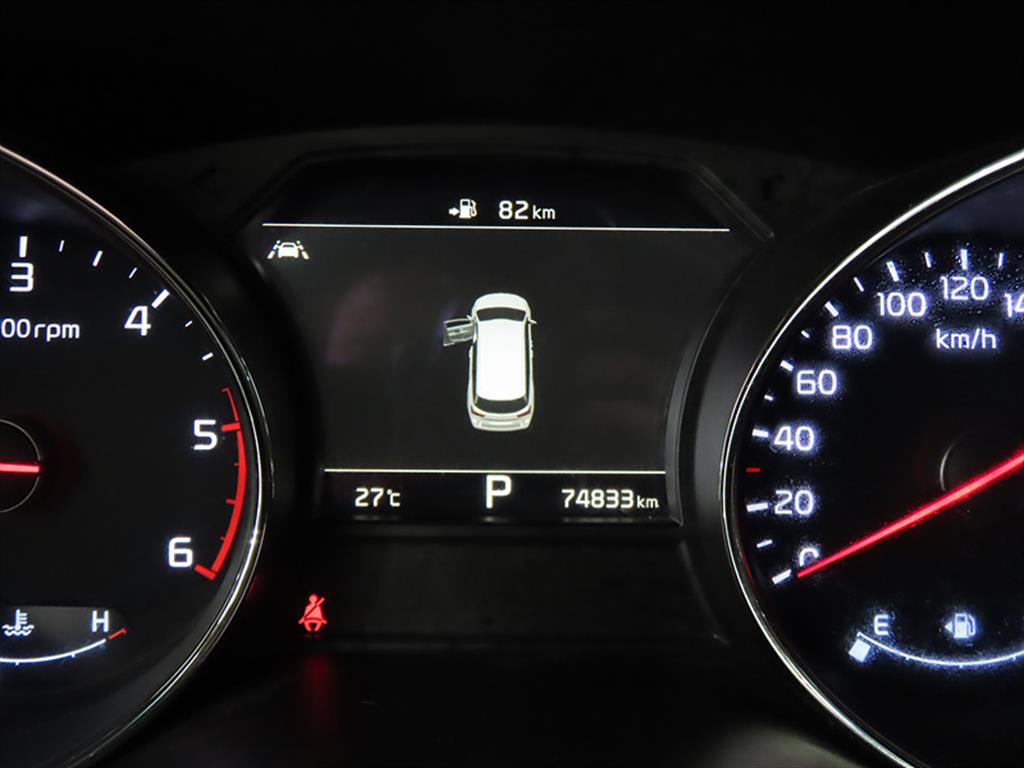 KIA Carnival - Vista 8