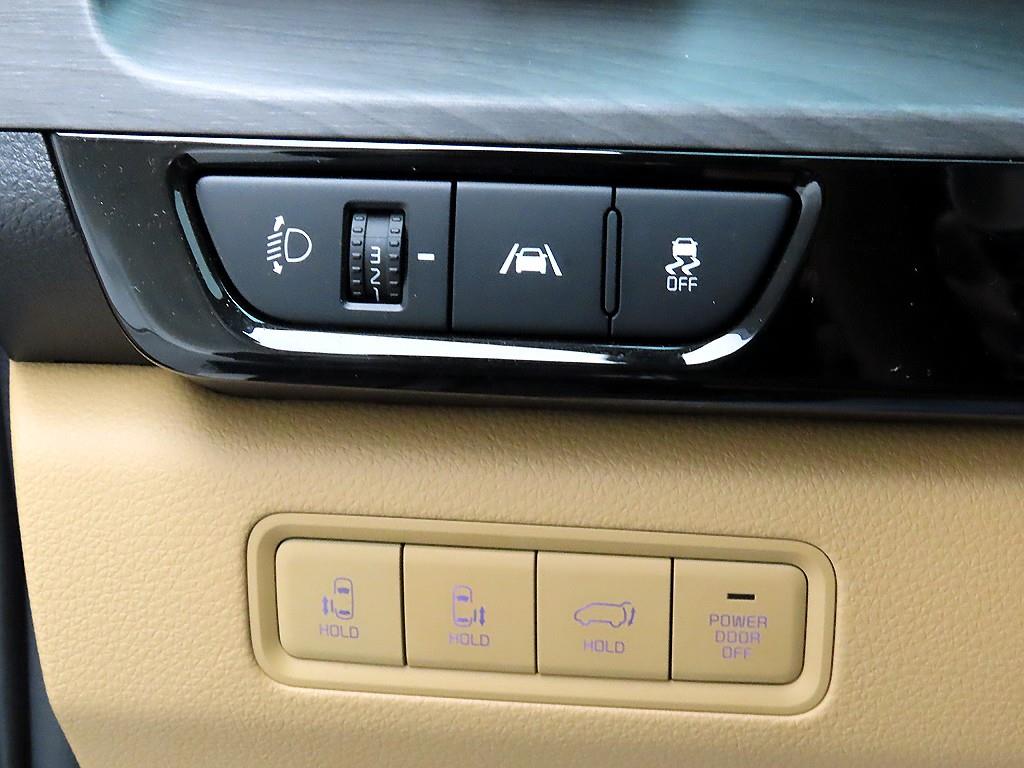 KIA Carnival - Vista 12