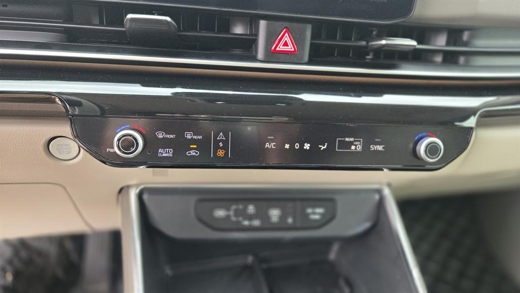 KIA Carnival - Vista 12