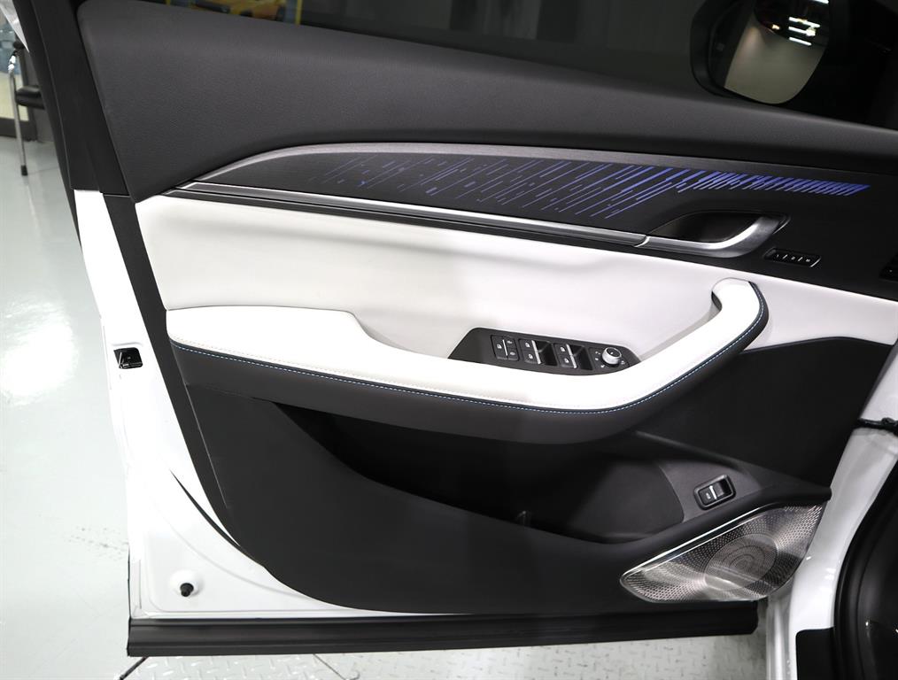 SAMSUNG Grand Koleos - Vista 8