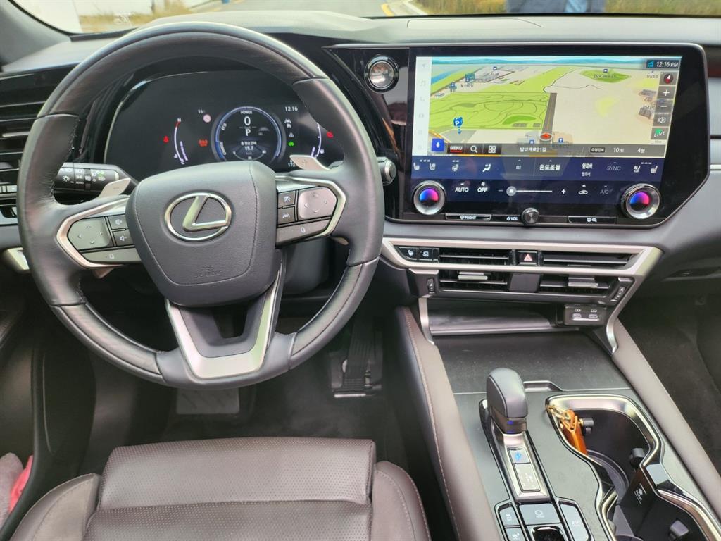 Lexus RX - Vista 11