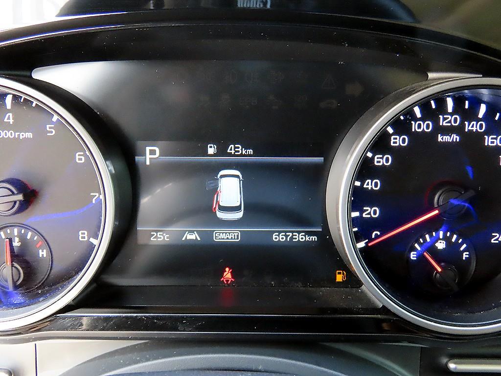 KIA Carnival - Vista 9
