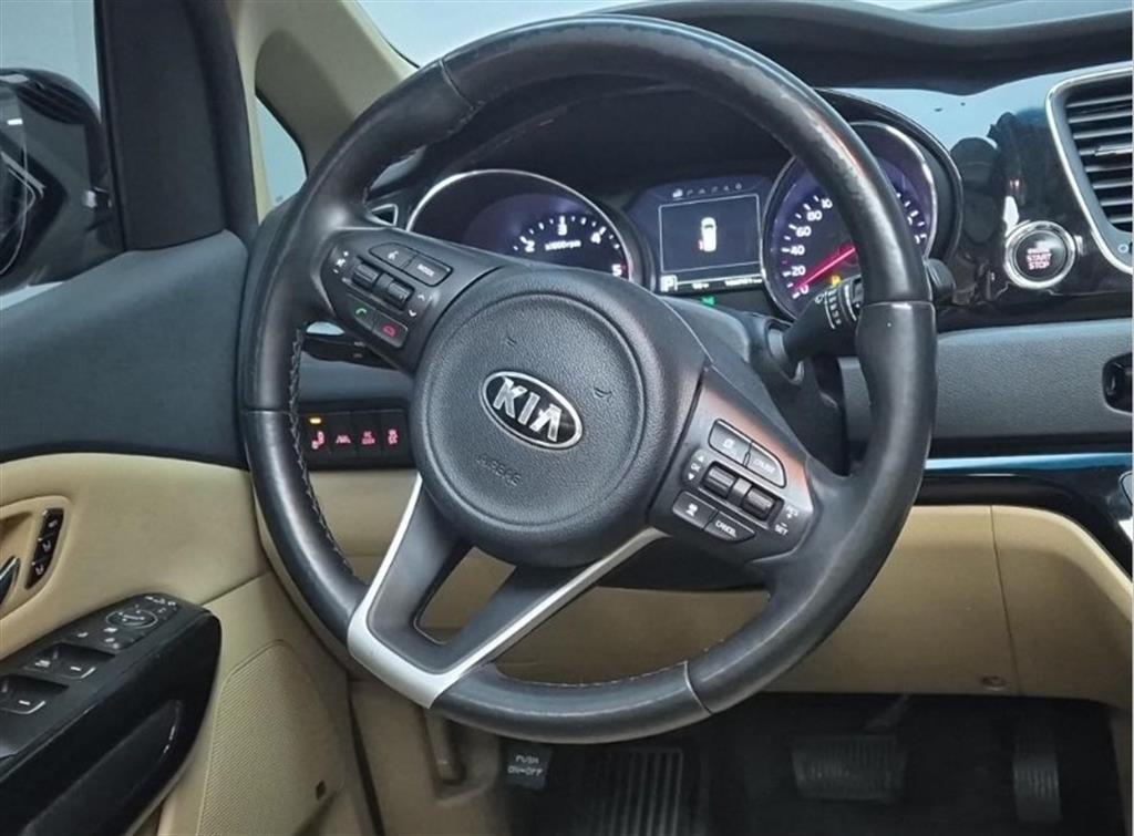 KIA Carnival - Vista 9