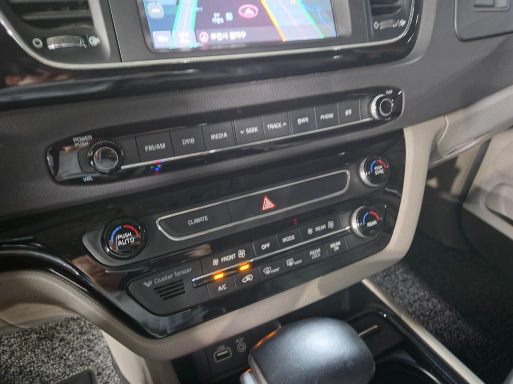KIA Carnival - Vista 12
