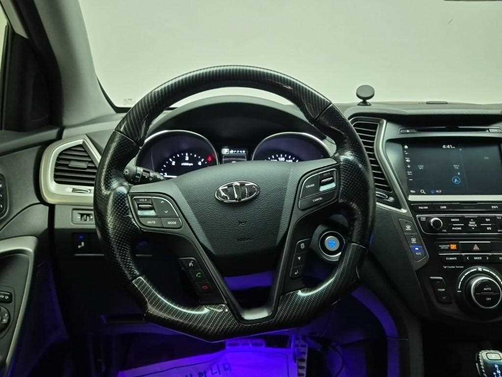 HYUNDAI Maxcruz - Vista 9