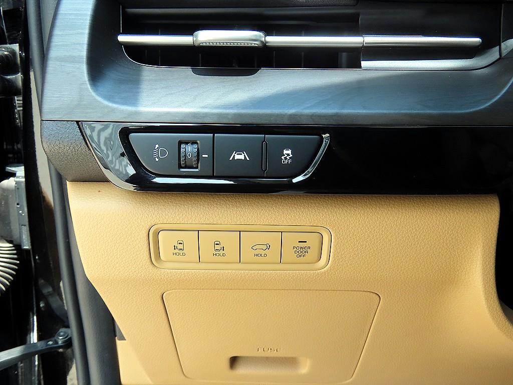 KIA Carnival - Vista 12