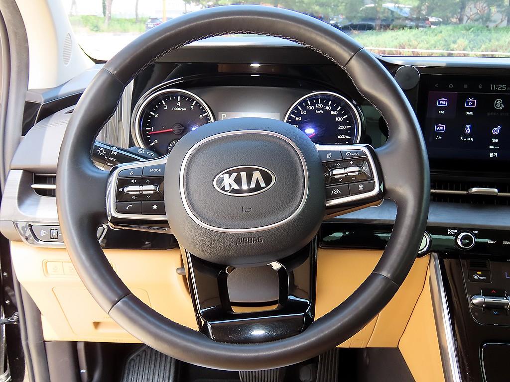 KIA Carnival - Vista 8