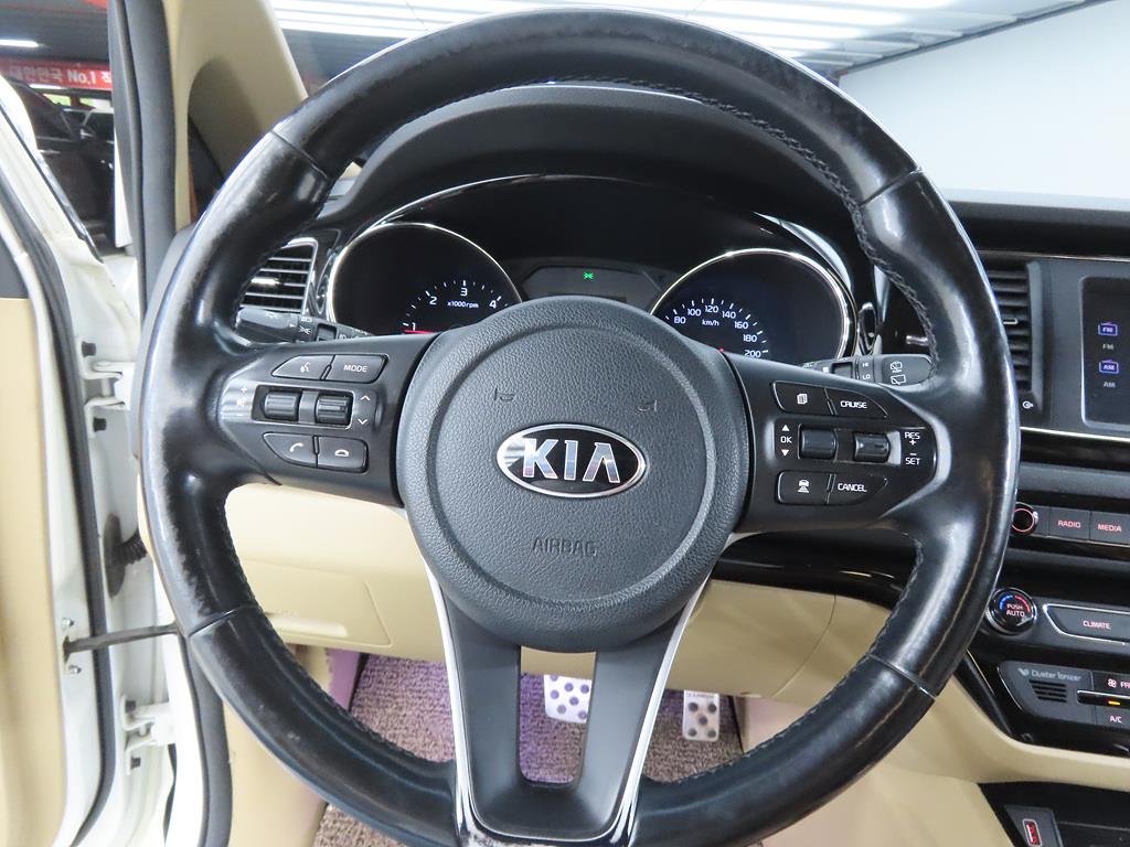 KIA Carnival - Vista 8