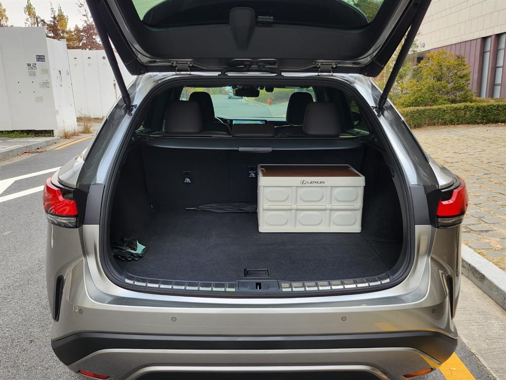 Lexus RX - Vista 7